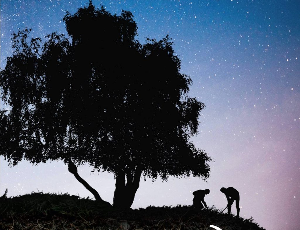 Review: Lured by the&nbsp;Hoard