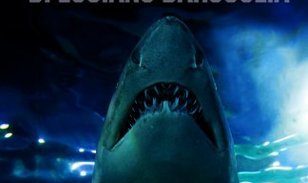 Review: The Midnight&nbsp;Sea