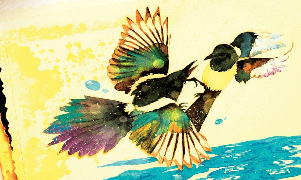 Review: A Palette of&nbsp;Magpies