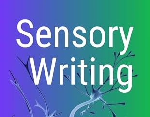 Review: Sensory Writing