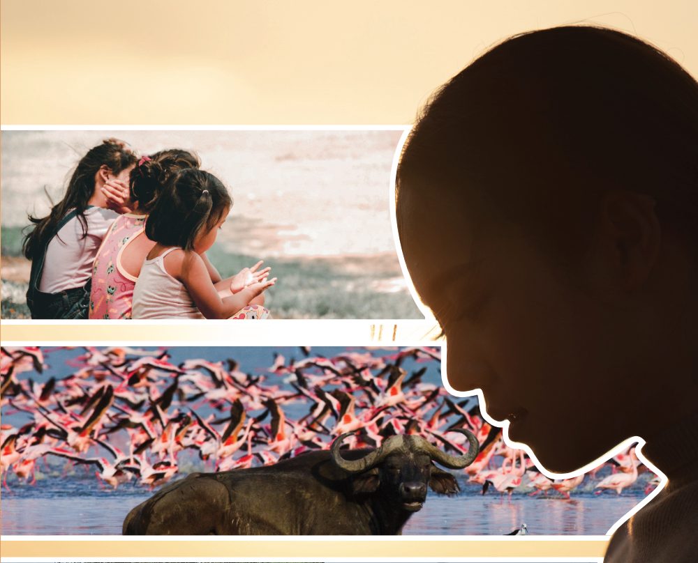 Review: Banks of the River&nbsp;Thillai