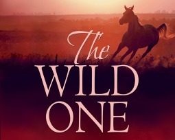 Review: The Wild&nbsp;One